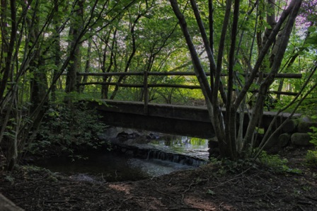 Sessa - sentiero dell'acqua ripensata (CH)